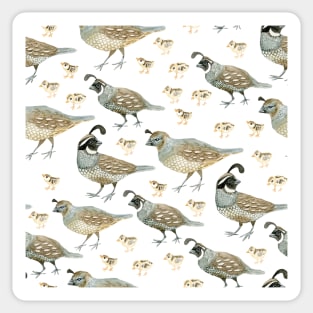 Watercolor Quail pattern Sticker